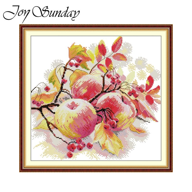 Joy Sunday Cross Stitch Kits A – Art And Craft Autumn Bewertung und Preis