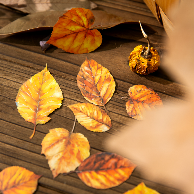 Journal GO 20pcs Golden Autumn – Art And Craft Autumn Bewertung und Preis