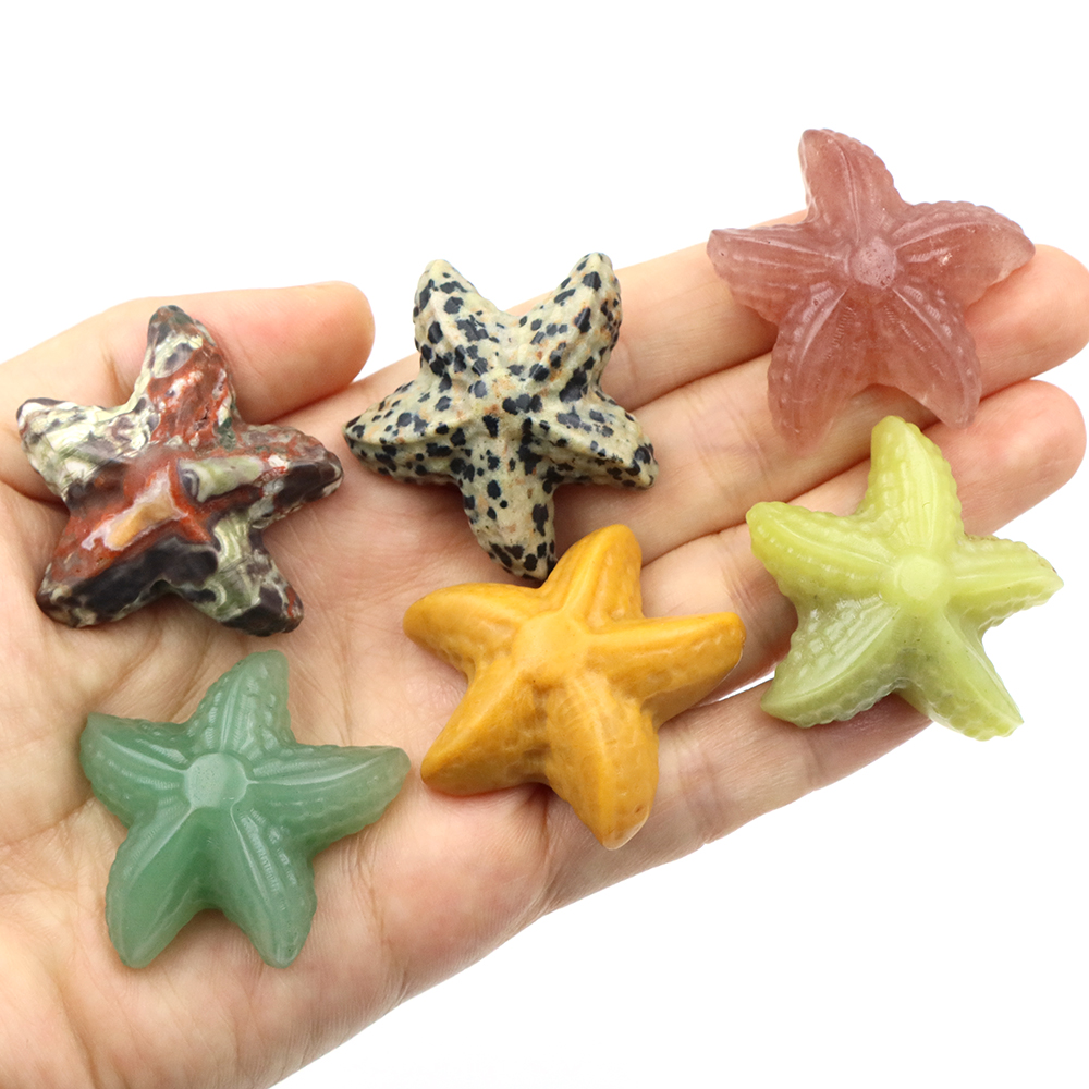 35mm Starfish Shape Statue Mar – Art Craft Activity Bewertung und Preis