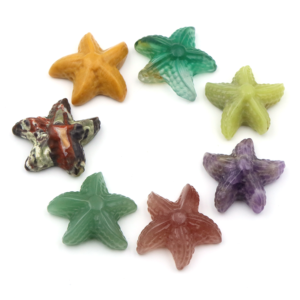 35mm Starfish Shape Statue Mar – Art Craft Activity Bewertung und Preis